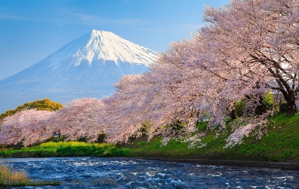 日本风光图片 日本 富士山 雪山 日本自由行 日本富士山 富士山日本 日本雪山 樱花 旅游摄影