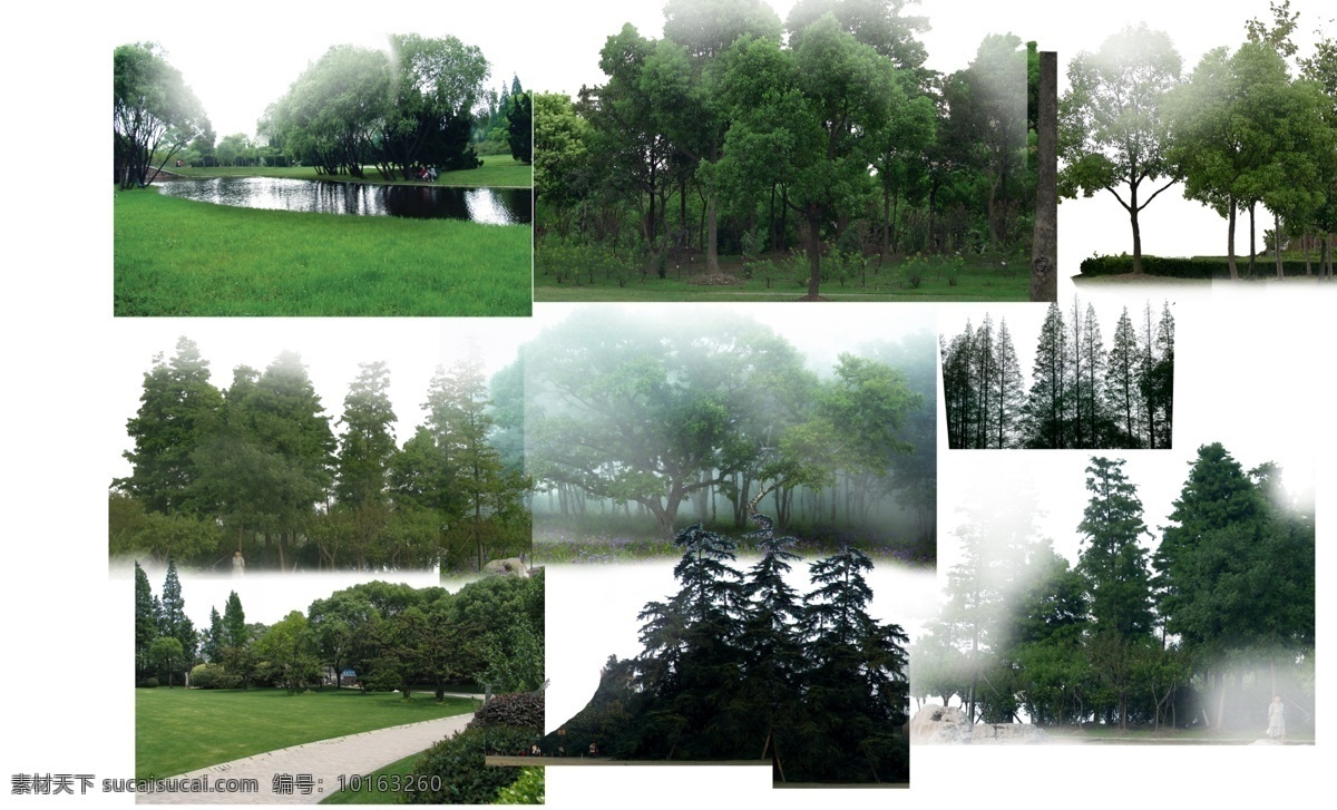 景观 后期 常用 植物 背景 树 景观后期 常用植物 鸟瞰植物素材 树种绿化 后期素材 配景 绿化景观 环境设计 园林设计 景观设计