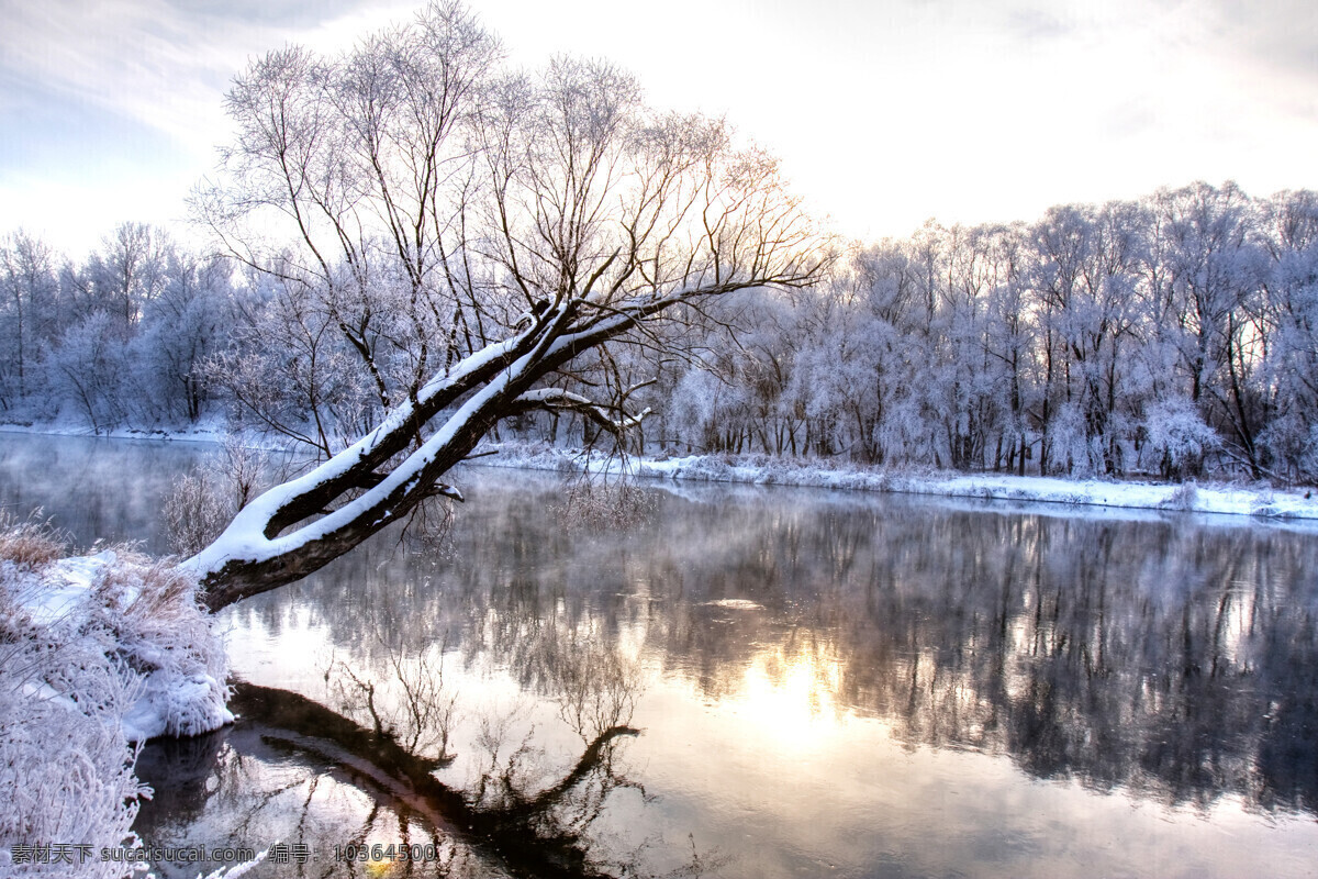 冬日雪景攝影 天空 藍(lán)天 白云 生態(tài)環(huán)境 自然風(fēng)景 自然景觀 雪景 冬日雪景 雪山風(fēng)景 雪山 湖泊 積雪 冬日樹林 白色