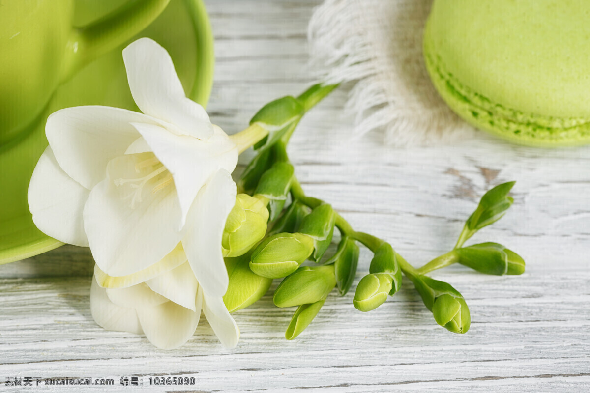 馬卡龍百合花 托盤 早餐 甜點(diǎn) 彈簧 杯 蛋白杏仁餅干 糧食 顏色 熱 特寫鏡頭 黑色 甜 愛 飲料 開花 象征 聰明 法國(guó) 蛋糕 咖啡 花束 生日 粉紅色 香氣 沒 有人 巧克力 浪漫主義 餅干 餐桌 面包 觀點(diǎn) 色彩 小蒼蘭 新鮮 最高 以上 芳香 復(fù)活節(jié) 綠色 餐飲美食 西餐美食
