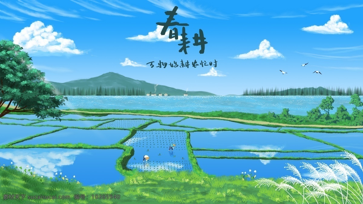 春耕 鄉(xiāng)村 水田 風(fēng)景 谷雨 藍(lán)天