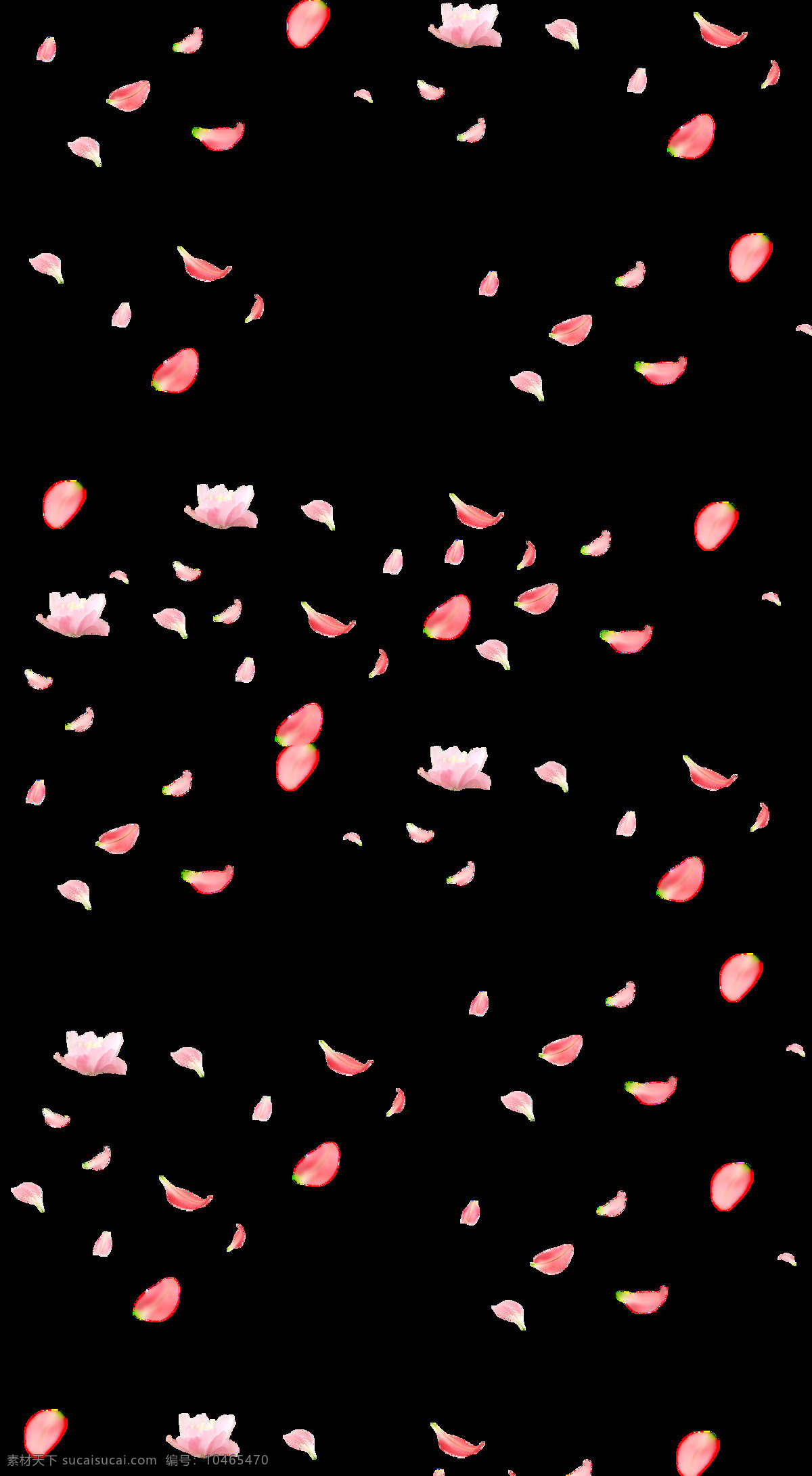 花瓣图片 花瓣 浪漫花瓣 粉色花瓣 桃花png 漂浮花瓣 png素材 遍地桃花