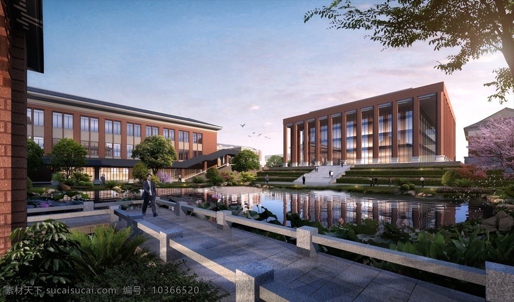 学校 图书馆 效果图 学校图书馆 建筑 现代 建筑设计 环境设计 3d设计 室外模型