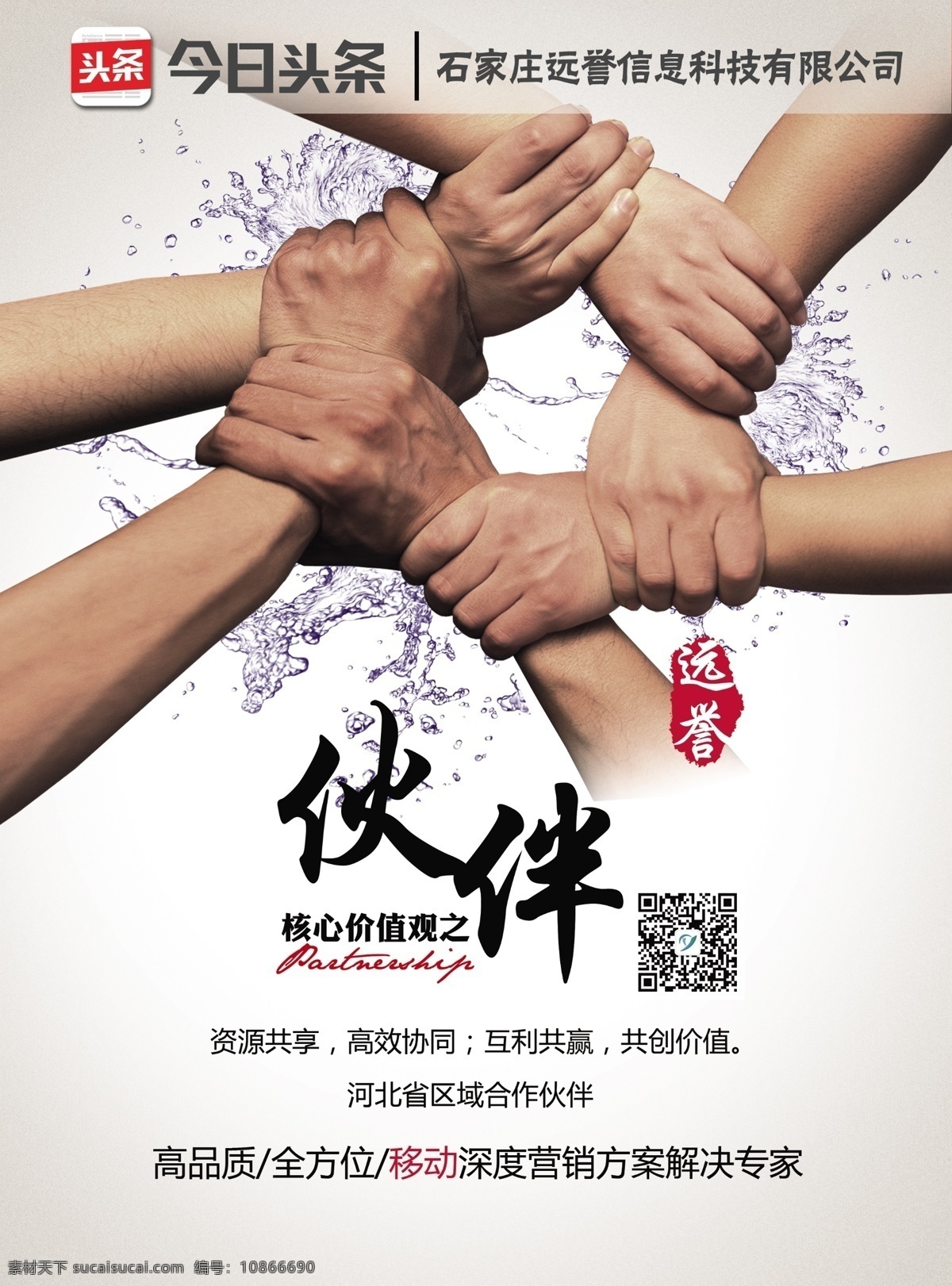 區(qū)域合作伙伴 合作 合作共贏 合作伙伴 白色