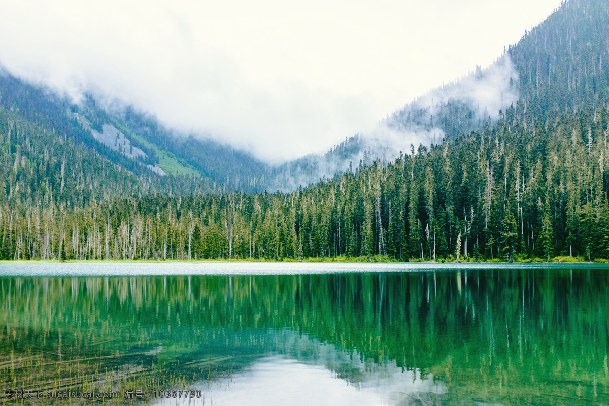 山 風(fēng)景 自然 森林 景觀 反射 海灘綠色 山水 河流 山水風(fēng)景 秋天 河 湖 秋天美麗風(fēng)景 秋天湖水 湖泊 秋天河水 自然風(fēng)光 自然景觀