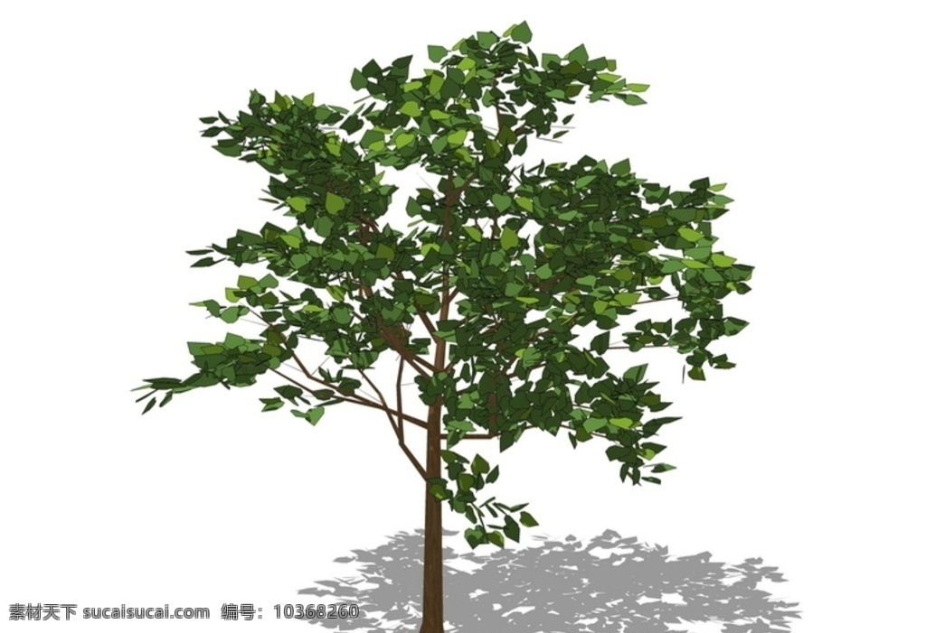3d 植物 樹 su 模型 3d植物樹 su模型 skp 草圖大師 3d設計
