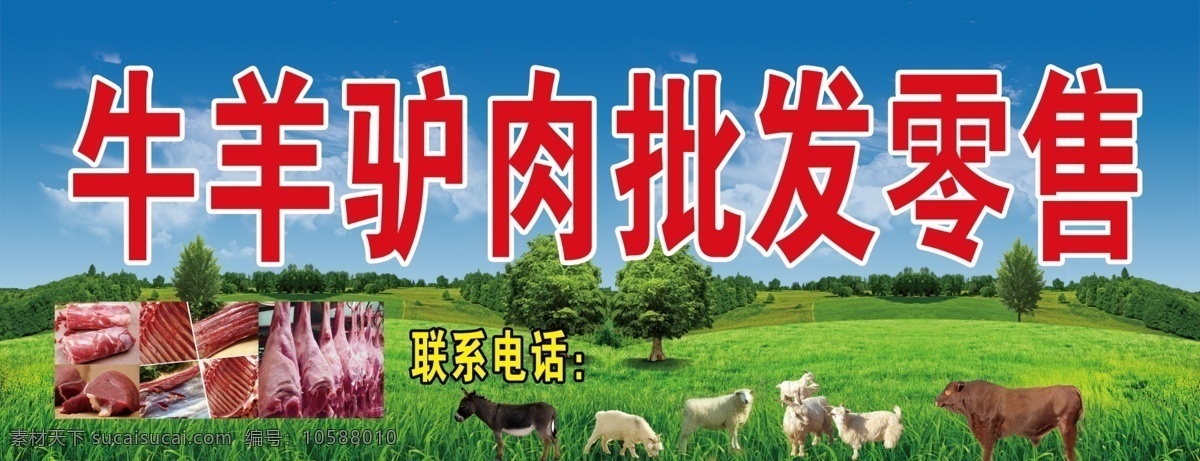牛羊肉批發(fā) 牛羊肉 批發(fā) 零售 藍(lán)天白云 黃牛 分層