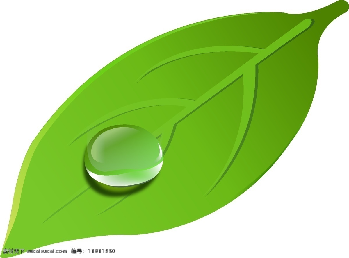 白露 简约 绿叶 露珠 矢量 元素 露水 水滴 二十四节气 粘露珠的绿植