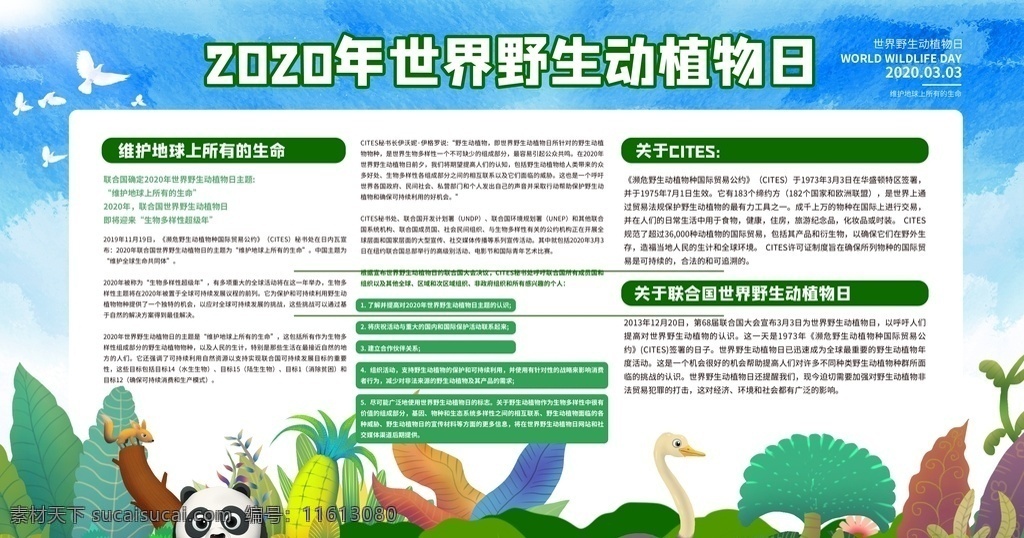 2020 年 世界 野生 动植物 日 宣传 世界野生 动植物日 宣传栏 宣传展板 ?；ざ?展报 展板模板