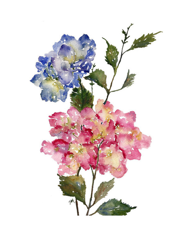 位图免费下载 服装图案 花朵 位图 写意花卉 野花 植物 面料图库 服装设计 图案花型