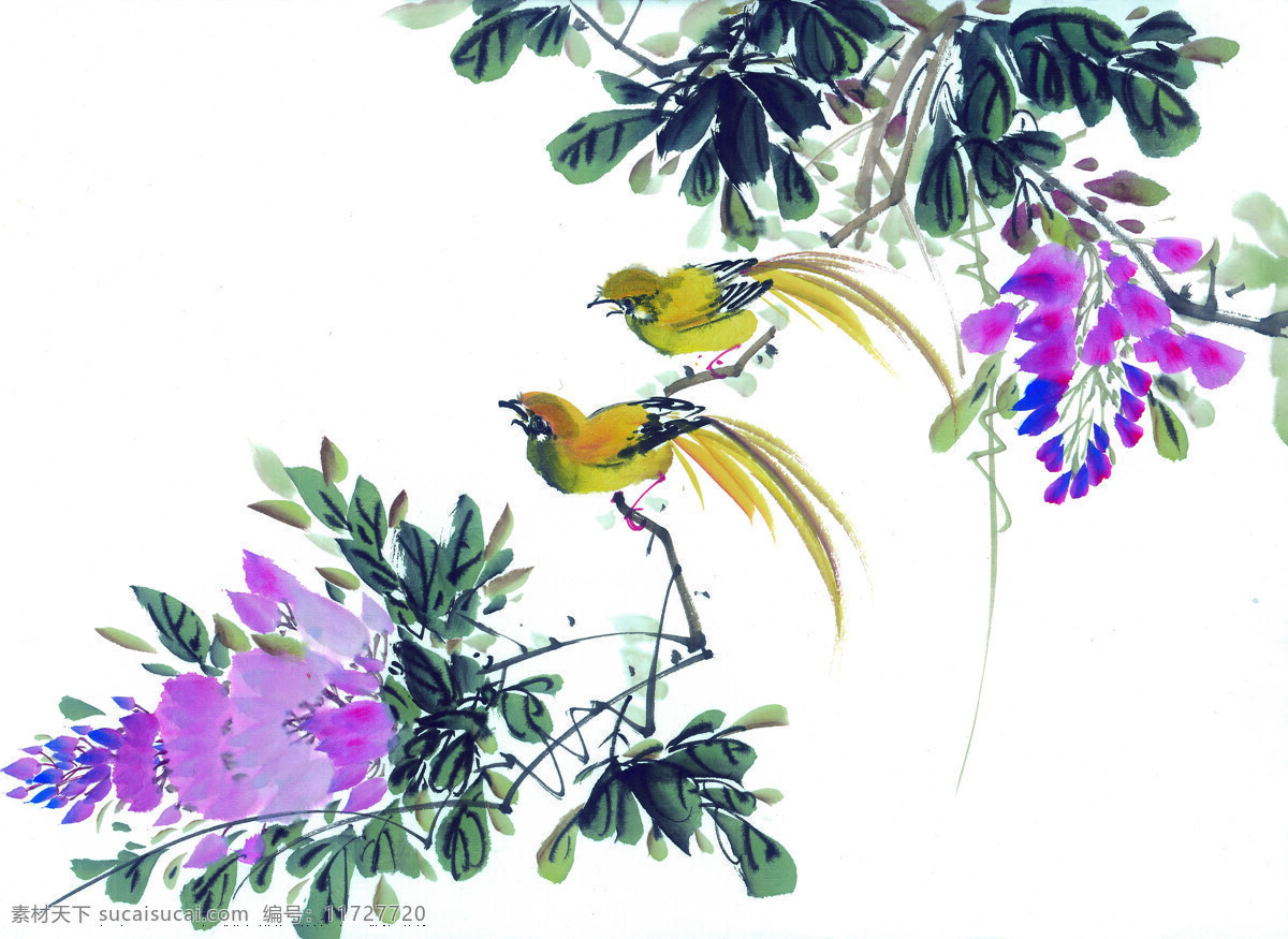 枝頭飛鳥 花 鳥 國畫 古典 美術(shù) 繪畫 中國美術(shù)圖庫 繪畫書法 文化藝術(shù)