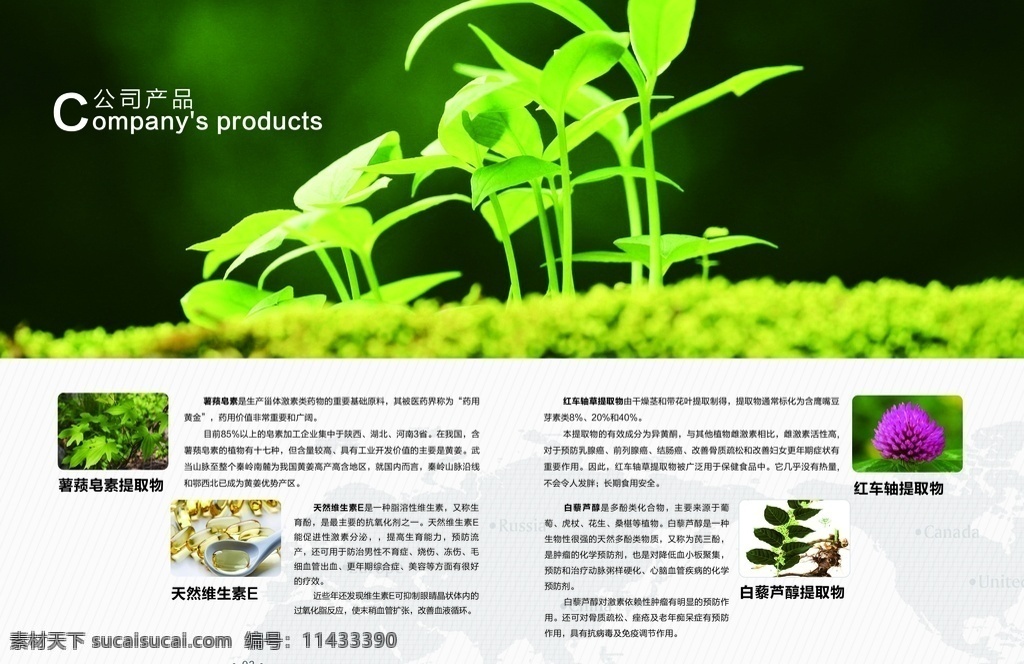 科技 公司 畫冊 科技公司畫冊 軟件畫冊 電子科技畫冊 it畫冊 網(wǎng)絡(luò)畫冊 公司畫冊 企業(yè)畫冊 公司宣傳冊 企業(yè)宣傳冊 藍(lán)色科技畫冊 畫冊設(shè)計 生物科技畫冊 品牌畫冊 商務(wù)畫冊 通訊畫冊 畫冊封面 集團(tuán)畫冊 產(chǎn)品畫冊 工業(yè)畫冊 宣傳畫冊 加盟畫冊 招商畫冊 創(chuàng)意畫冊 廣告畫冊 建筑畫冊 物流畫冊 時尚畫冊 綠色畫 企業(yè) 菜單 封面