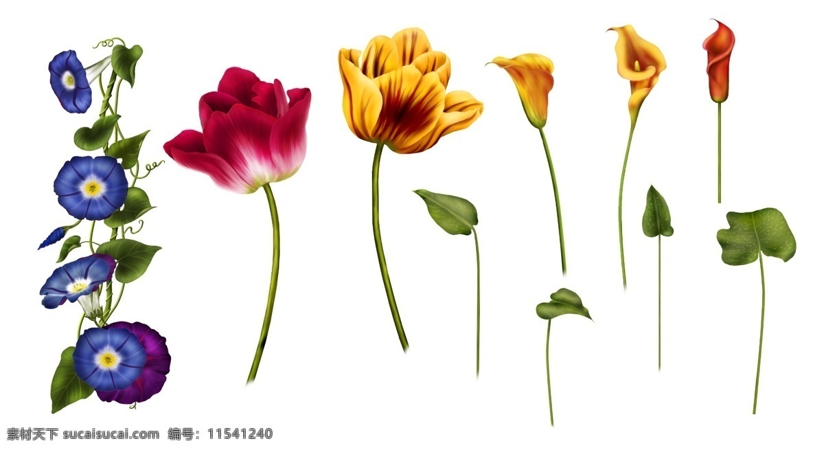 电脑 绘制 花卉 分层 素材图片 花朵 psd源文件