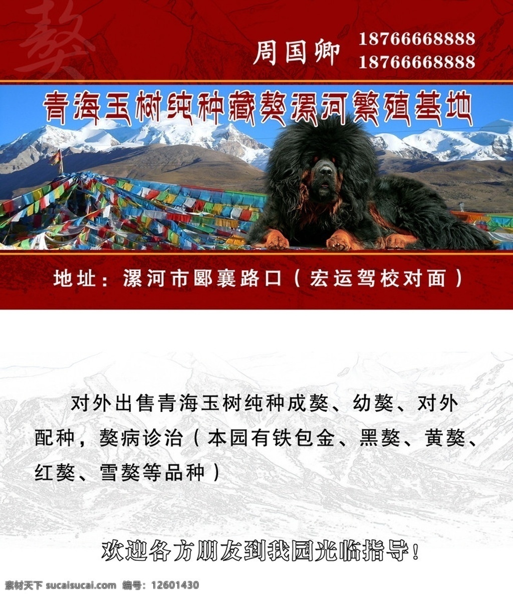 藏獒名片 藏獒 藏式 山峰 名片卡片 广告设计模板 源文件