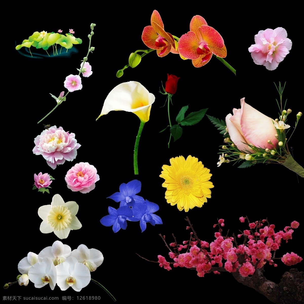 分層鮮花花瓣 花型 百合 花 分層圖 流行花 復(fù)古花 古典花 分層 分層素材 秋風(fēng) 落葉 系 花飛 花絮 自然景觀 自然風(fēng)光