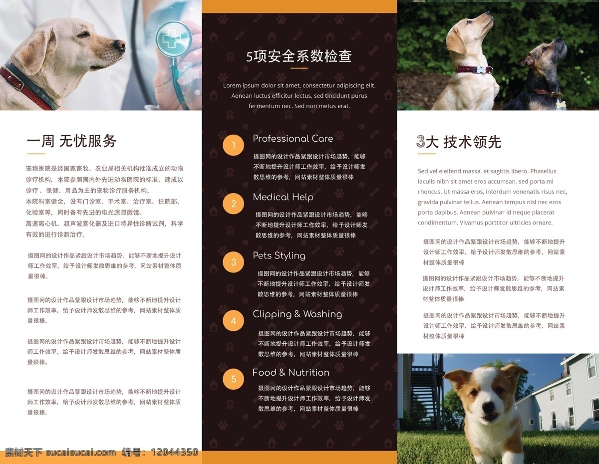 寵物醫(yī)院 中心 宣傳 三 折頁(yè) 小狗 哈士奇 牧羊犬 比熊犬 藏獒 博美 土狗 狼狗 醫(yī)院 醫(yī)療 三折頁(yè)