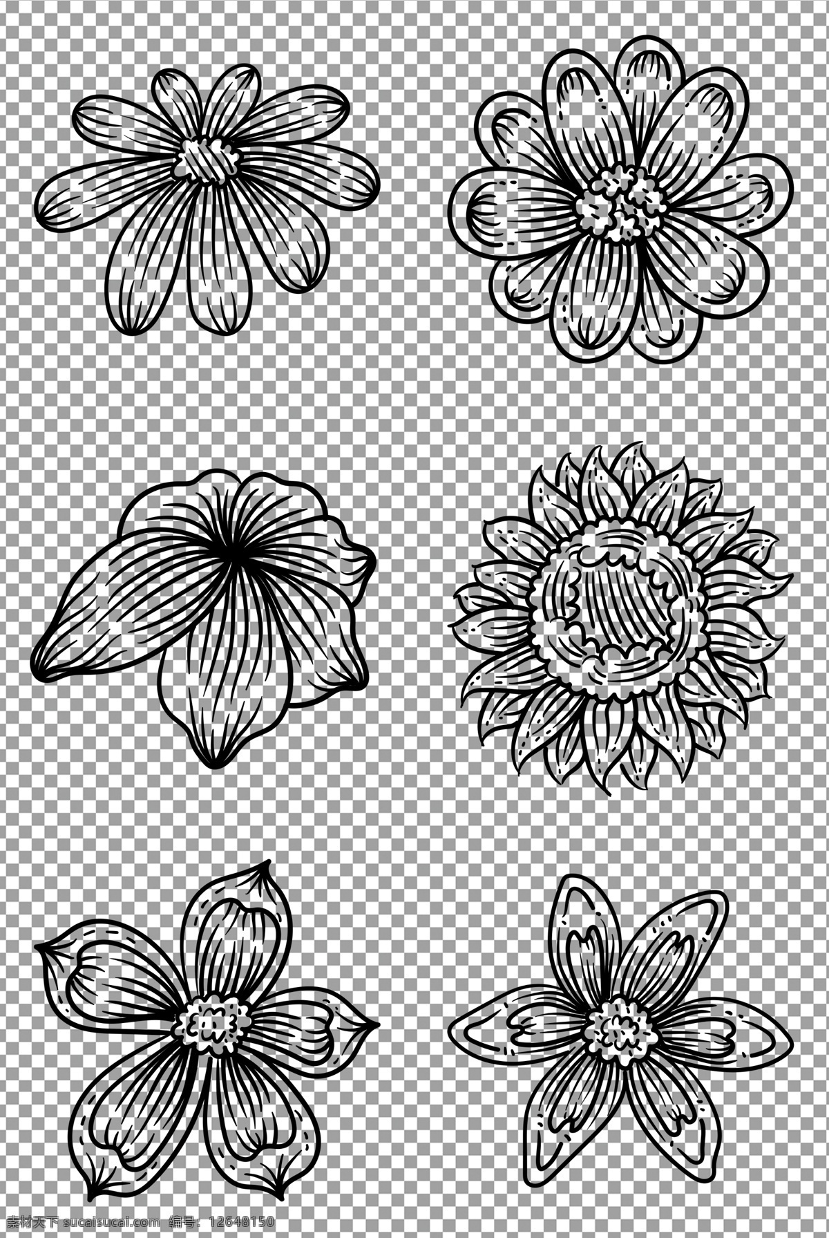 黑色线条花朵 手绘 黑色 线条 花朵 植物 装饰画 免抠 无背景 免抠图 抠图 元素 透明 通道 png免抠图 分层