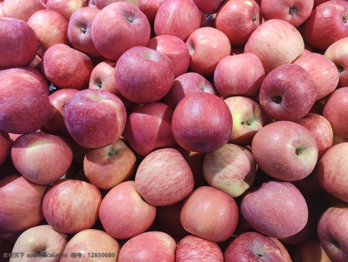 苹果图片 苹果 新鲜水果 有机 富士苹果 陕西苹果 山东苹果 水果海报 海报素材 水果素材 生物世界 水果