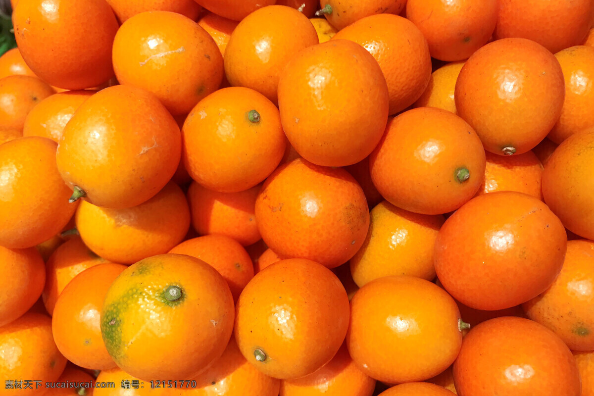 金桔图片 金桔 新鲜水果 柑橘 橙色 酸甜 维生素 金桔特写 一篮金桔 桔子 餐饮美食 食物原料