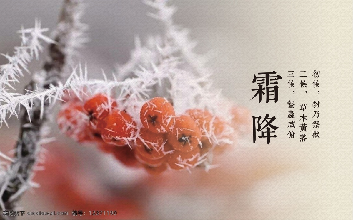 二十四節(jié)氣 燈箱 霜降 八卦 圓形 文化藝術(shù) 傳統(tǒng)文化