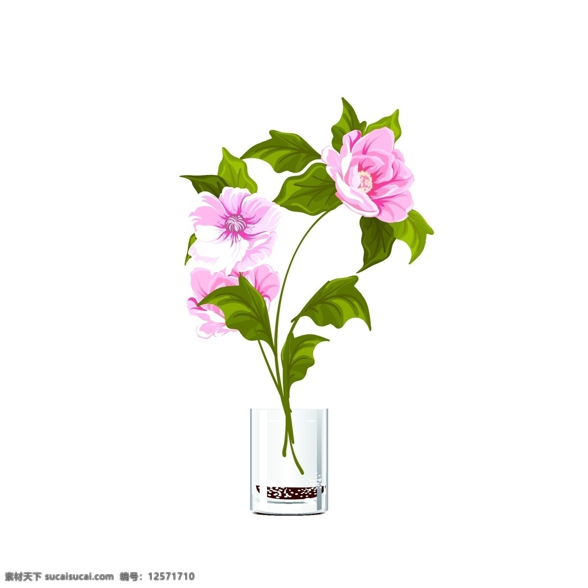 手绘 清新 植物 欣赏 盆景 花卉 绿叶 杯子 粉色花朵