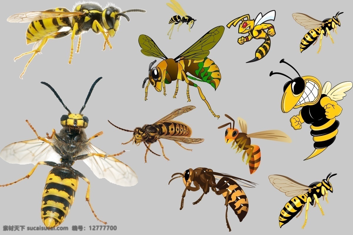 大黄蜂 png素材 透明素材 大马蜂 人头蜂 蜜蜂 毒蜂 动物 昆虫 飞行 翅膀 卡通黄蜂 黄蜂素材 非 原创 透明 合 辑 分层