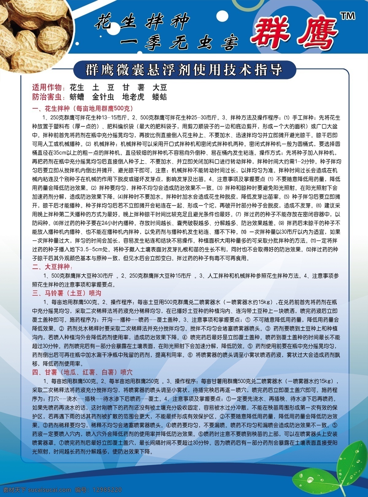 群鷹 藍(lán)色 彩頁(yè) 白色