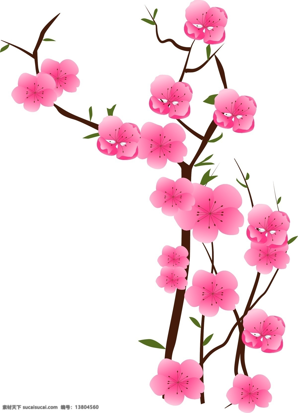 矢量 免 扣 卡通 花朵 粉色桃花 樹枝 兩朵桃花 花芯花蕊 花瓣 花卉 玫瑰 盛開 梅花 臘梅 小櫻花 手繪 粉色花 花 粉色