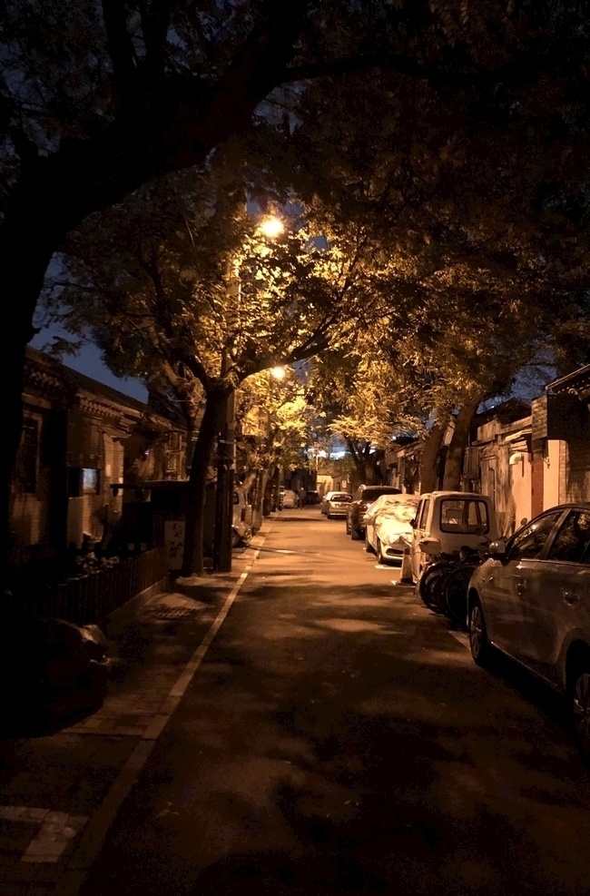 胡同 夜色 北京 旅游 树木 车辆 灯光 旅游摄影 国内旅游