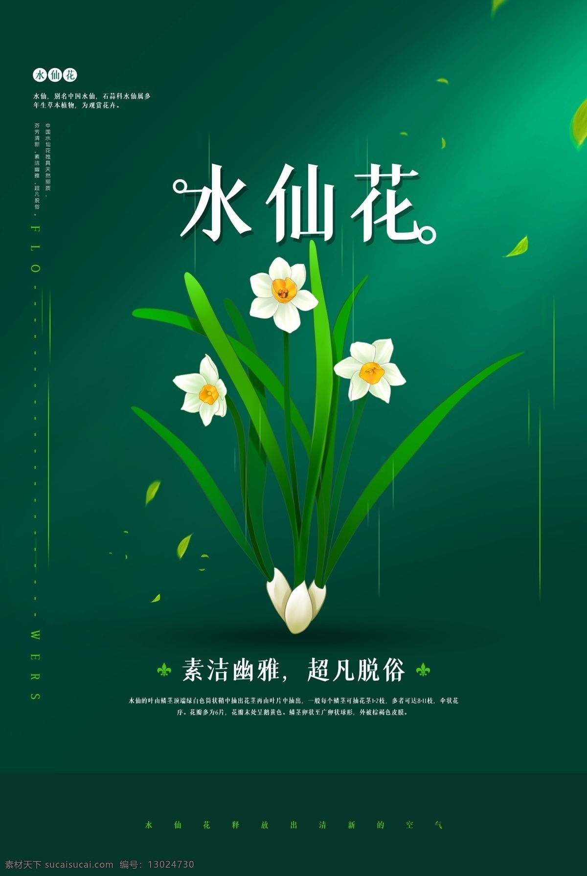 水仙花 花朵 活动 宣传海报 宣传 海报