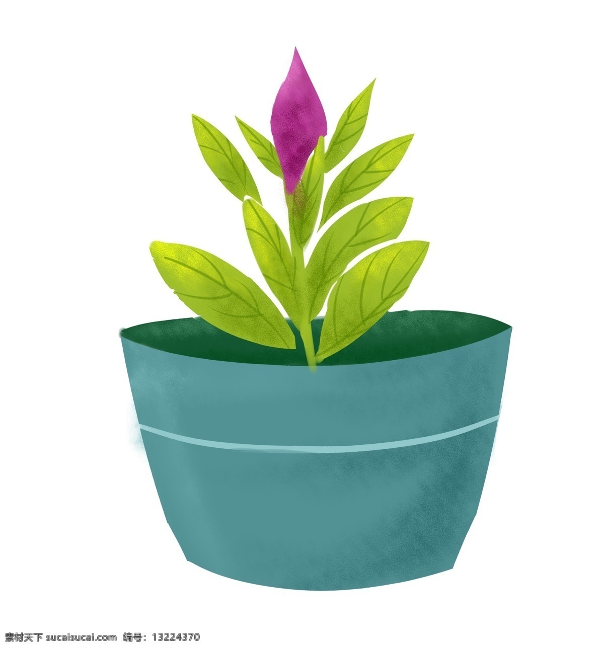 紫色 小花 盆栽 插画 紫色的小花 绿色的叶子 春季盆栽 立春盆栽 立体盆栽 漂亮的盆栽 盆栽装饰
