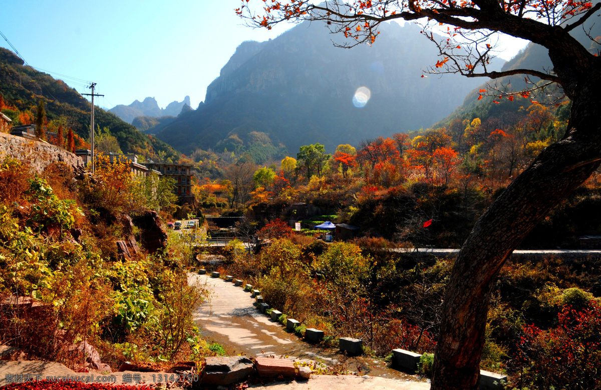 萬仙山晨光 自然風(fēng)光 萬仙山 樹木 夢幻色彩 自然風(fēng)景 自然景觀
