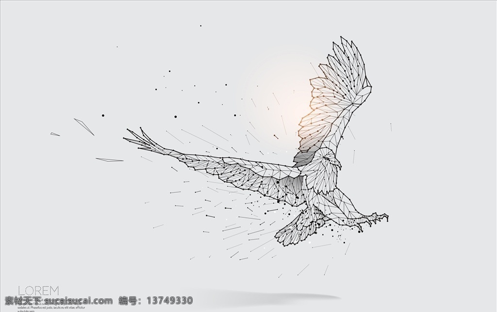 展翅 大鹏展翅 展望未来 展望 雄鹰展翅 展翅高飞 老鹰展翅 展翅翱翔 鹰击长空 企业文化 企业形象 企业展望 企业愿景 大鹏展翅文化 大鹏展翅精神 翱翔高空 翅膀 精准 双眼 勇猛精神 梦想 自由翱翔 力量 勇猛 胜利之鹰 老鹰象征胜利 鹏程万里 老鹰文化 老鹰展板 老鹰形象 老鹰展望 鹰 生物世界