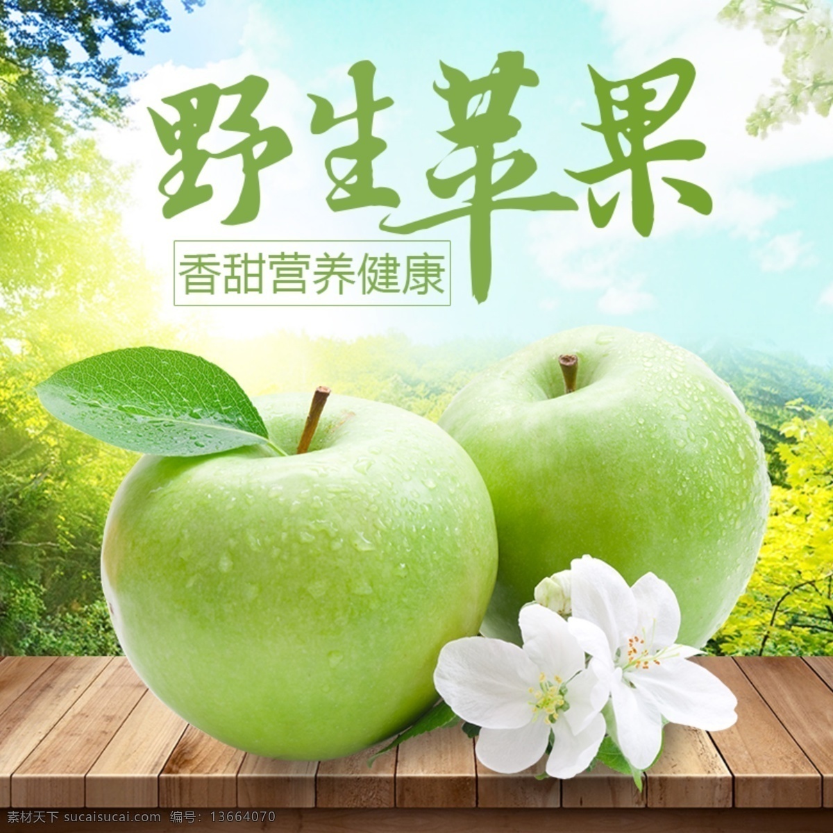 绿色 新鲜 水果 苹果 绿苹果