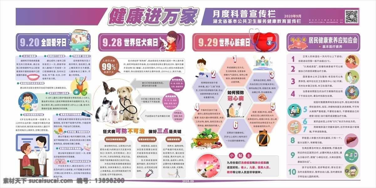 2020 年 月 健 教 宣傳欄 全國愛牙日 狂犬病 冠心病 基本醫(yī)療素養(yǎng) 健康教育 生活百科 醫(yī)療保健