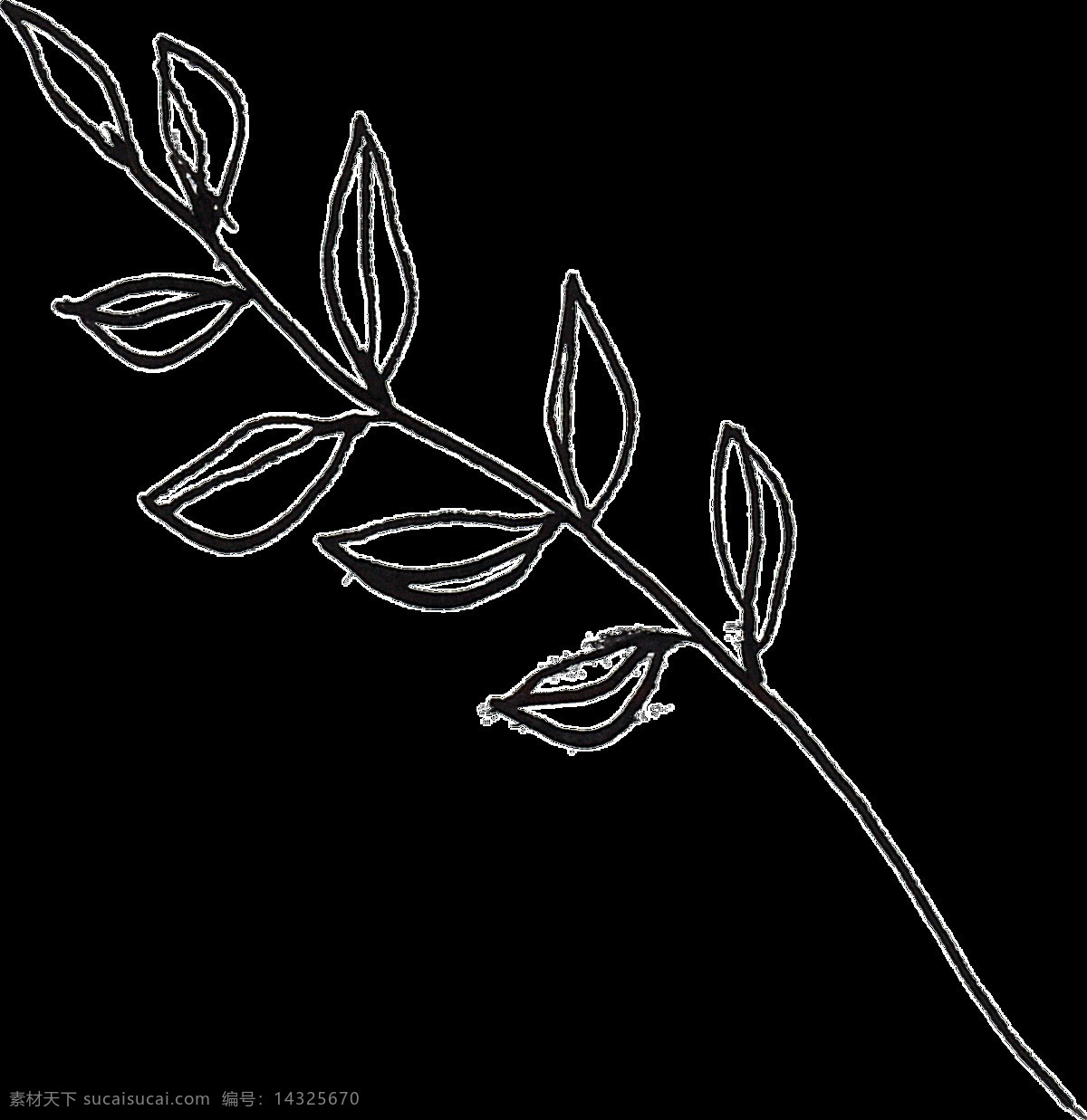 线条 描绘 植物 卡通 透明 抠图专用 装饰 设计素材