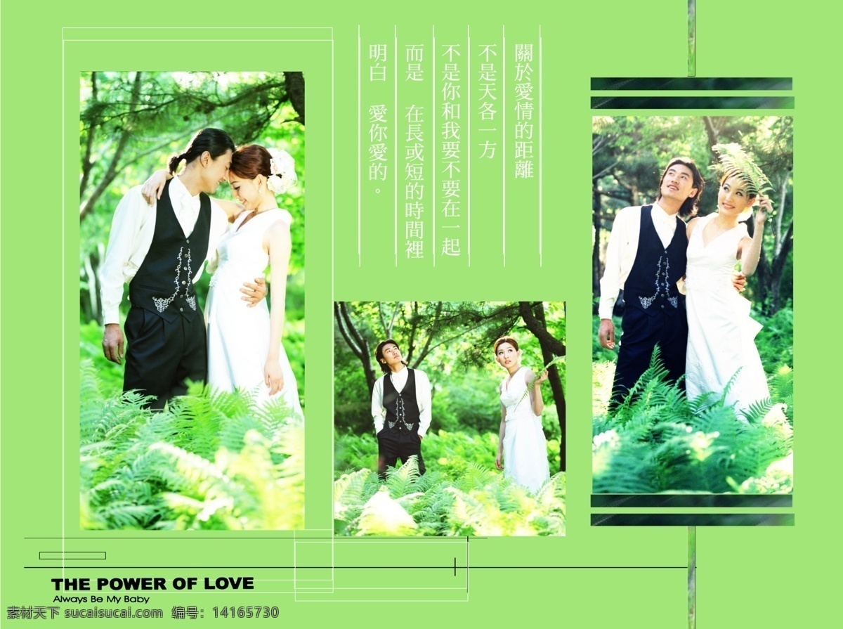 婚紗攝影模板 模板 綠色