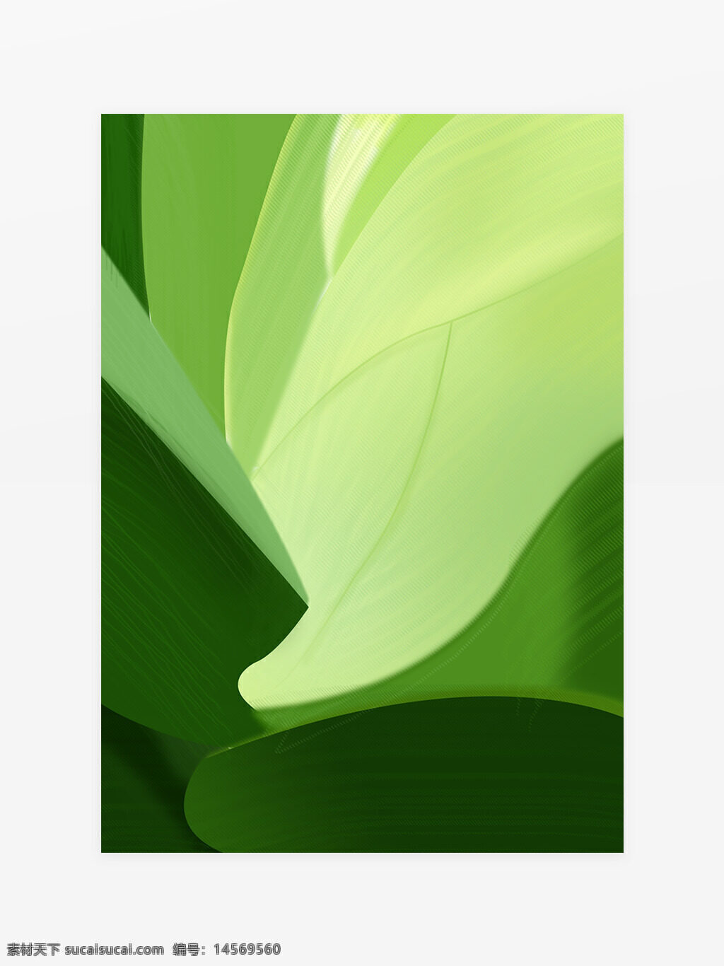 绿色 背景 纹理 底纹 护眼 植物 几何 设计 绿植