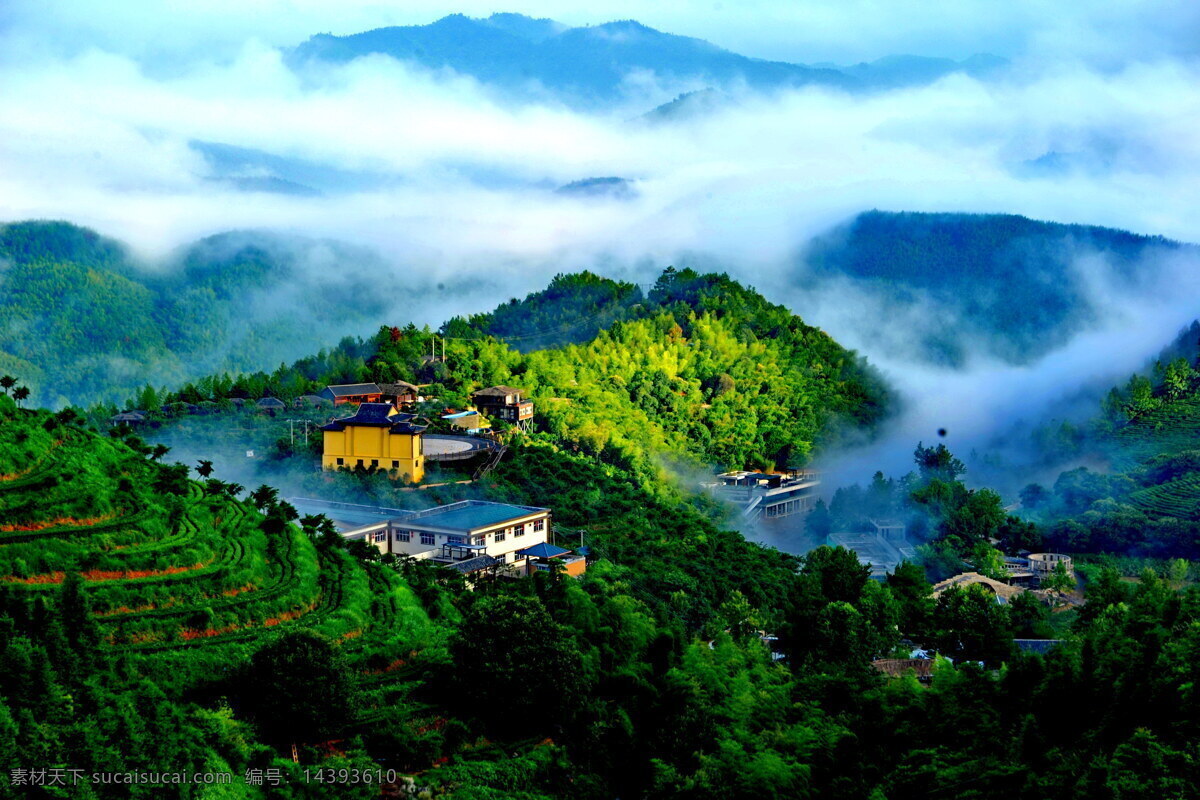 虔心小鎮(zhèn) 賴國柱 攝圖片 龍南 有機(jī) 茶園 旅游 特色 風(fēng)景 景色 休閑 贛州風(fēng)景 圍美龍南 旅游攝影 國內(nèi)旅游
