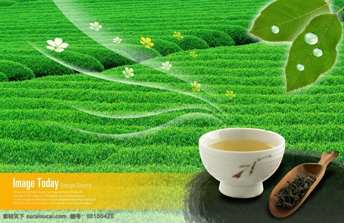 茶 茶叶 茶园广告 广告设计模板 花朵 绿叶 热气 茶园 广告 模板下载 大茶园 水滴 一碗茶 源文件 其他海报设计
