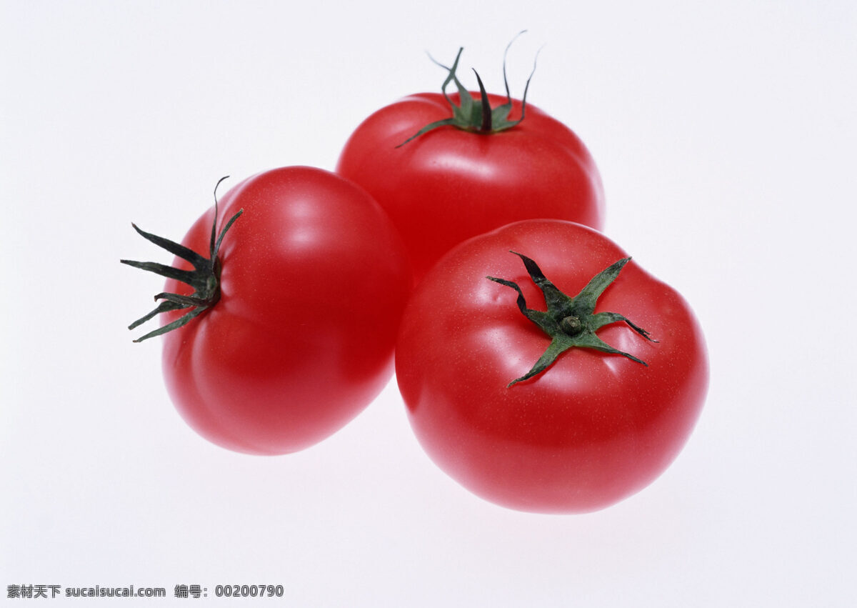 西红柿 瓜果蔬菜 绿色蔬菜 农作物 生物世界 蔬菜 新鲜蔬菜 风景 生活 旅游餐饮