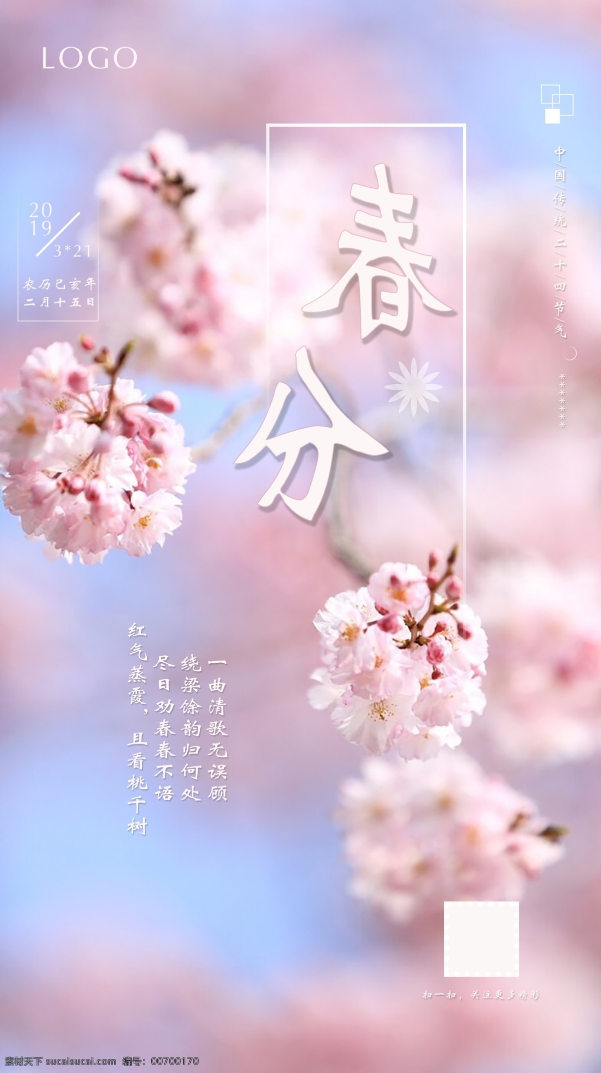 春分 春 春季 粉色 传统节气 中国传统节气 二十四节气 节气 春天