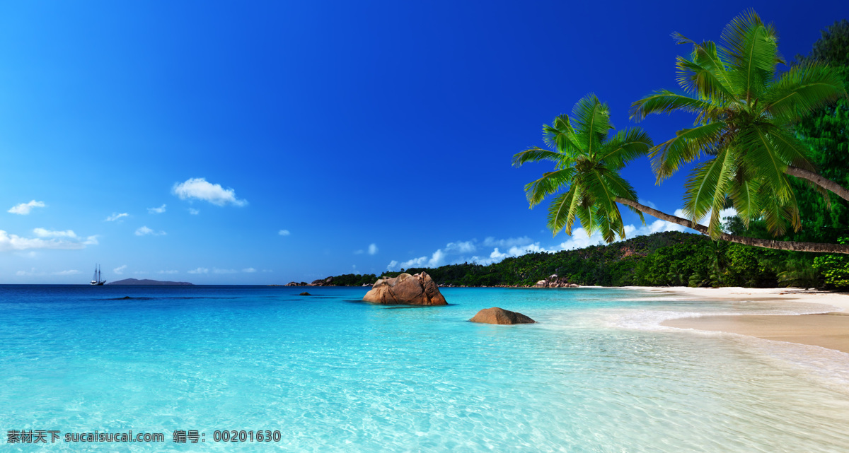 大海沙滩椰树 海滩 沙滩 清澈 海边 蔚蓝 湛蓝 岩石 云彩 海浪 大海 椰树 椰子树 波浪 阳光 浪花 夏日风景 夏季风景 热带风景 风光 自然风景 自然景观 自然风景系列