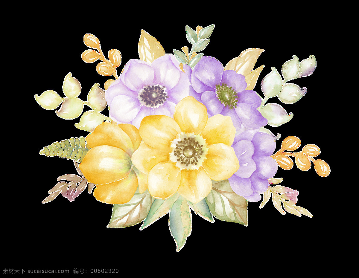 手绘 水彩 鲜花 透明 合集 免 扣 白色 插画 花瓣 花朵 花卉 花蕊 黄色 卡通 绿色 绿叶 手账素材