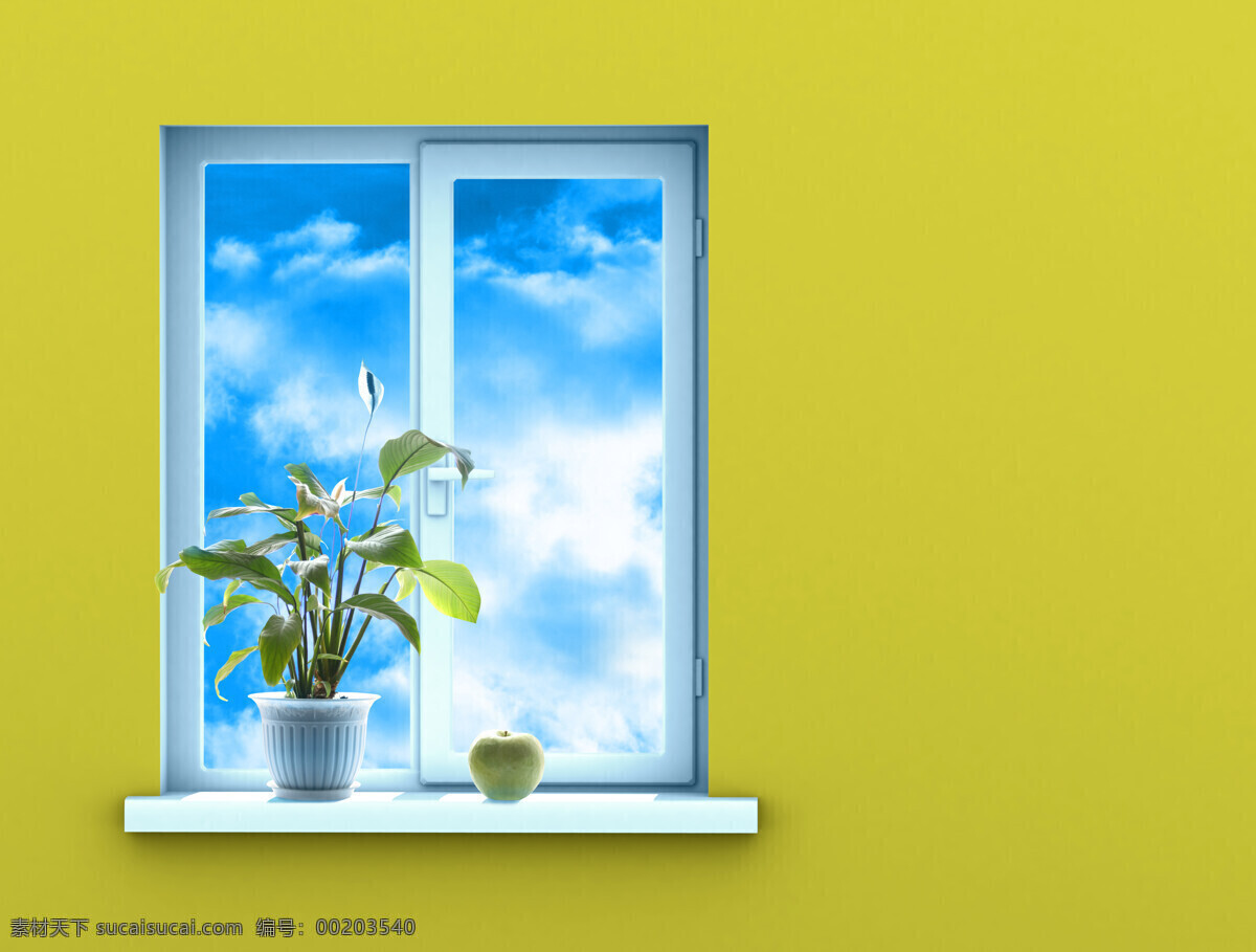 窗台 上 花朵 门窗 窗子 明朗 装潢 窗 玻璃窗 塑钢窗 窗前 其他类别 环境家居
