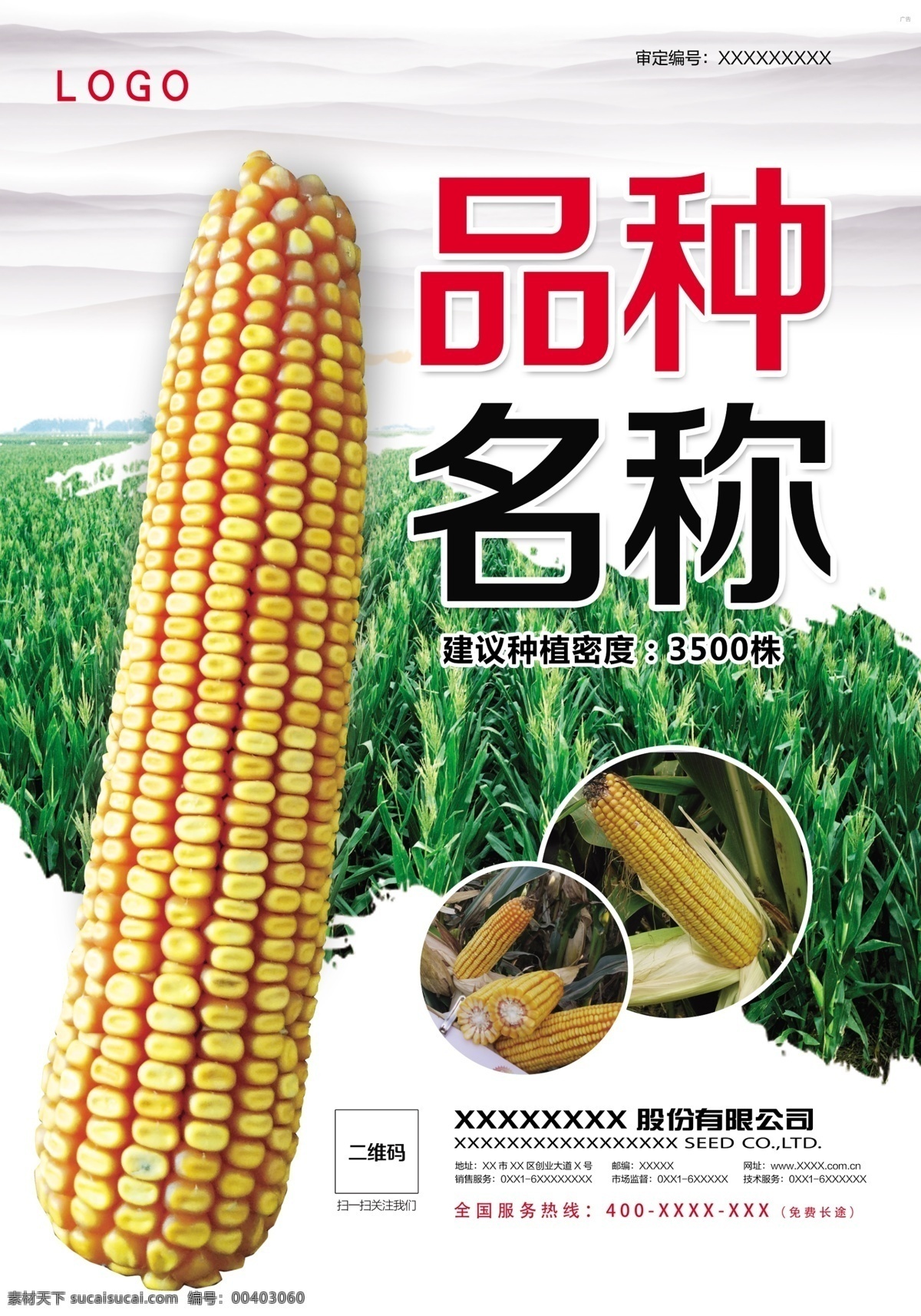 玉米海报 海报 玉米 农业 产品海报 大田