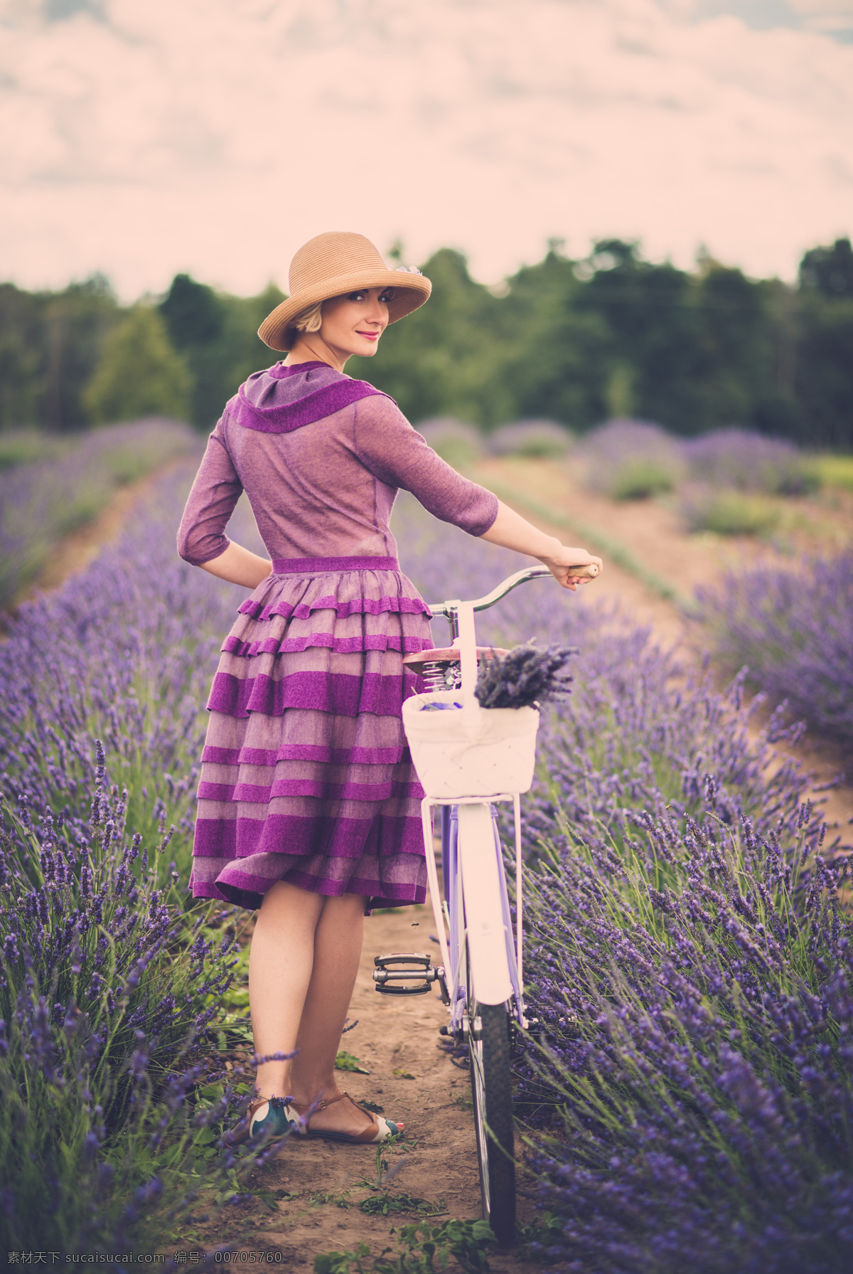 推 自行车 女人 外国女人 推着 薰衣草 植物 紫色 美女图片 人物图片