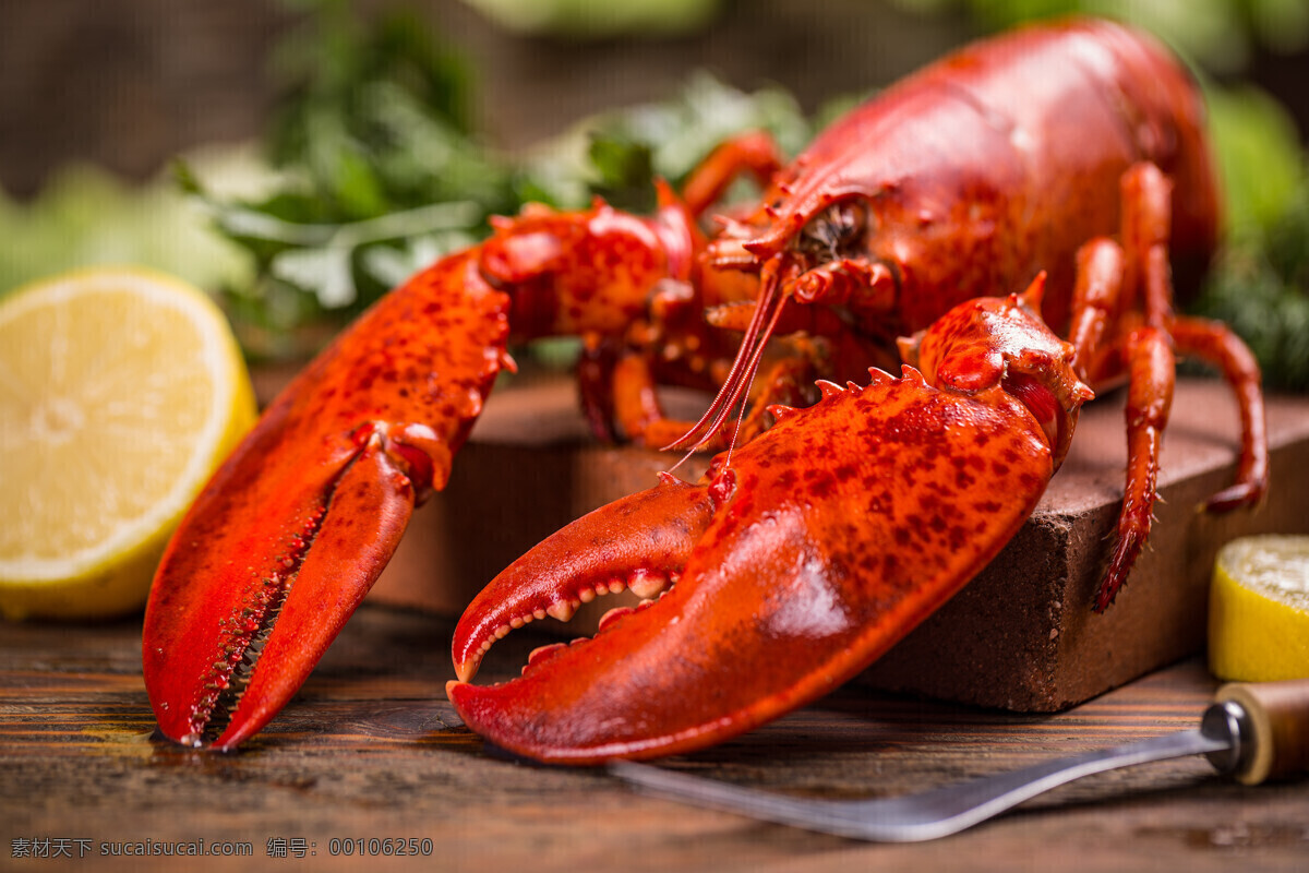 龙虾 大龙虾 澳洲大龙虾 鳌虾 海鲜大餐 海鲜 大虾 高档食材 海产品 澳洲龙虾 传统美食 餐饮美食