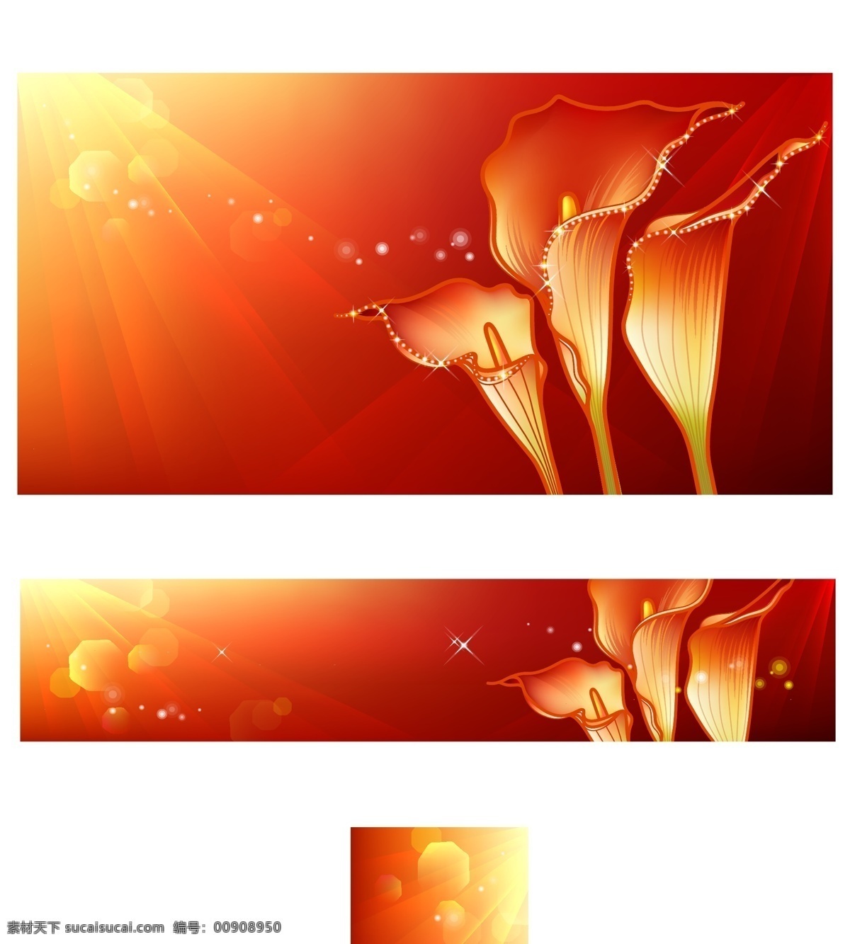 马蹄莲 温馨 花卉 插画 集合 背景素材 缤纷 底纹 曲线 阳光 矢量图 花纹花边