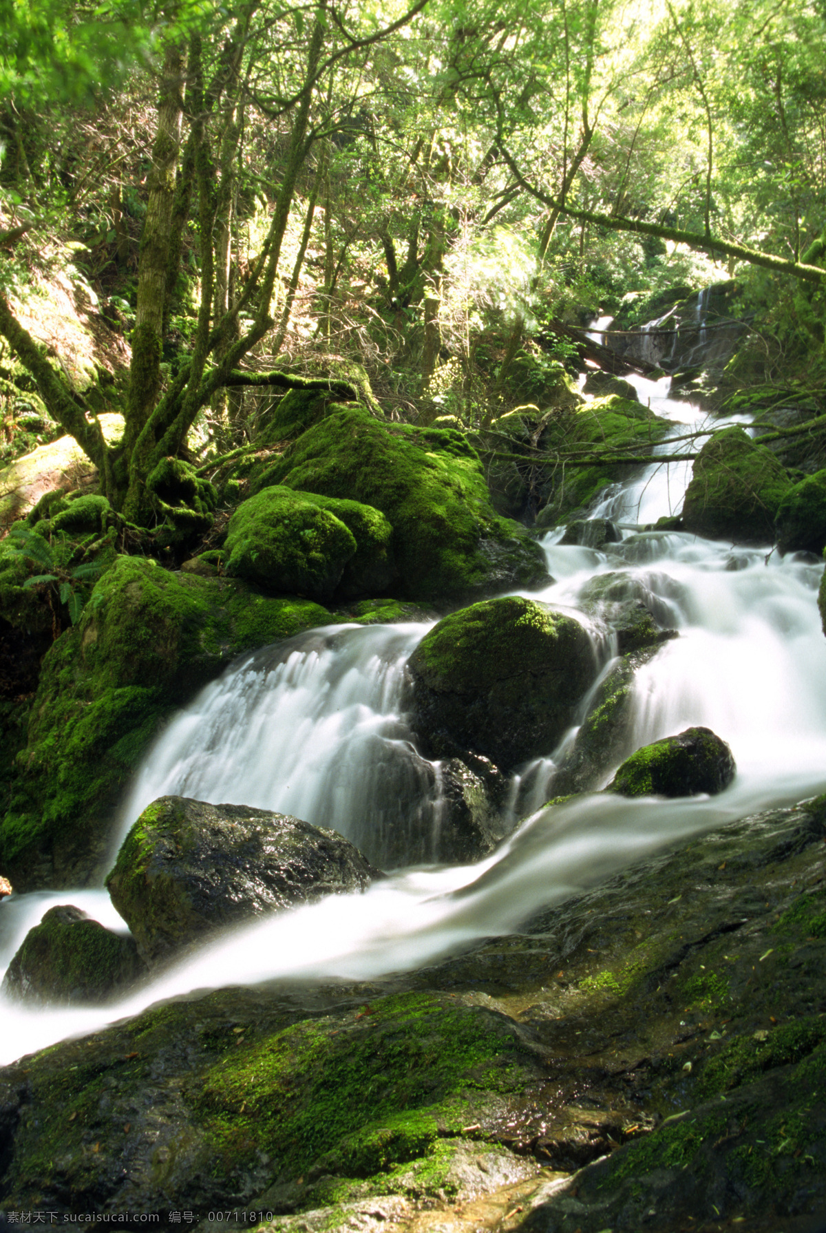 林间 小溪 瀑布 美景 林间瀑布 溪水 风光 景色 美丽风景 摄影图 高清图片 瀑布图片 风景图片